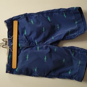 Gap shark boys shorts size 7